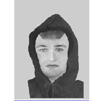 Photo fit - assault attempted robbery in Ongar on 17.9.13